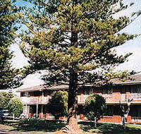 Eastern Beach Holiday Units - Holiday Jervis Bay