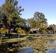 Twin Lakes Hotel - Holiday Jervis Bay