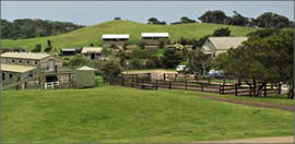 Ace Hi Riding Ranch - Holiday Jervis Bay 0