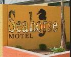 Seahorse Motel - Holiday Jervis Bay 1