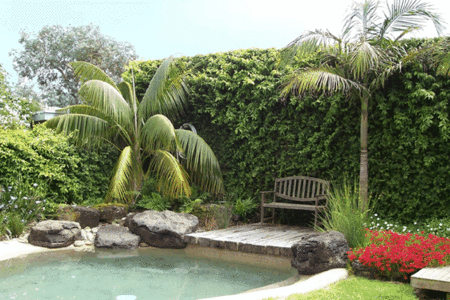 The Tropicana Motor Inn - Holiday Jervis Bay 2