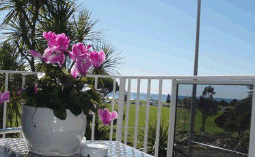 Beach Park Motor Inn - Holiday Jervis Bay 3