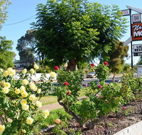 Narrogin Motel - Holiday Jervis Bay