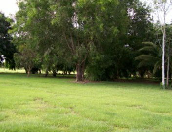 Daly River Mango Farm - Holiday Jervis Bay 1
