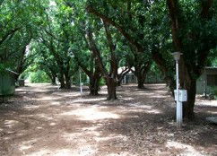 Daly River Mango Farm - Holiday Jervis Bay 4