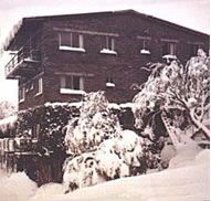 Elk at Falls - Holiday Jervis Bay