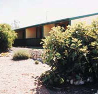 The Fig Tree Bed  Breakfast