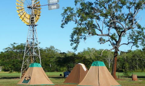 Litchfield Tourist Park - Holiday Jervis Bay 2