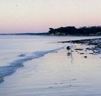 Loverings Beach House - D'estrees Bay - Holiday Jervis Bay