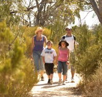 Long Island Caravan Park Cabins - Holiday Jervis Bay