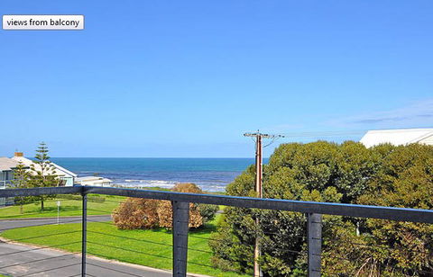 Seagulls At Hayborough - Holiday Jervis Bay 8