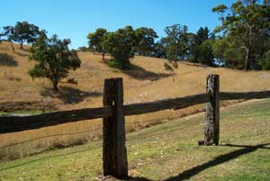 Adelaide Hills Country Cottages - Gum Tree Cottage - Holiday Jervis Bay 4