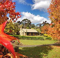 Adelaide Hills Country Cottages - Lavender Fields