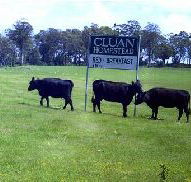 Cluan Homestead - The Managers Residence - Holiday Jervis Bay