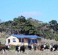 Marrawah Beach House - Holiday Jervis Bay