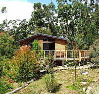 Southern Forest Accommodation - Holiday Jervis Bay