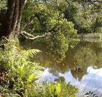 Weldborough Camping Ground - Holiday Jervis Bay