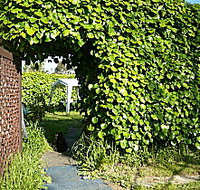 Kirra Guest House - Holiday Jervis Bay