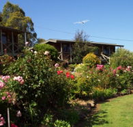 Mole Creek Holiday Village - Holiday Jervis Bay