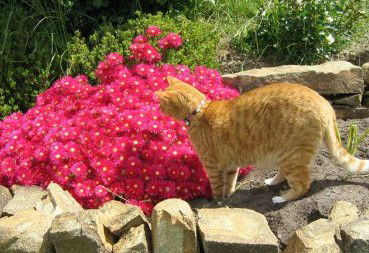 Huon Valley Bed And Breakfast - Holiday Jervis Bay 1