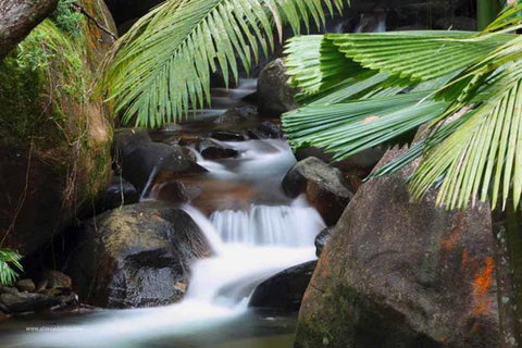 Daintree Secrets (Award Winning Retreat) - Holiday Jervis Bay 1