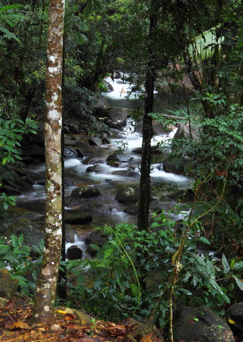 Daintree Secrets (Award Winning Retreat) - Holiday Jervis Bay 2