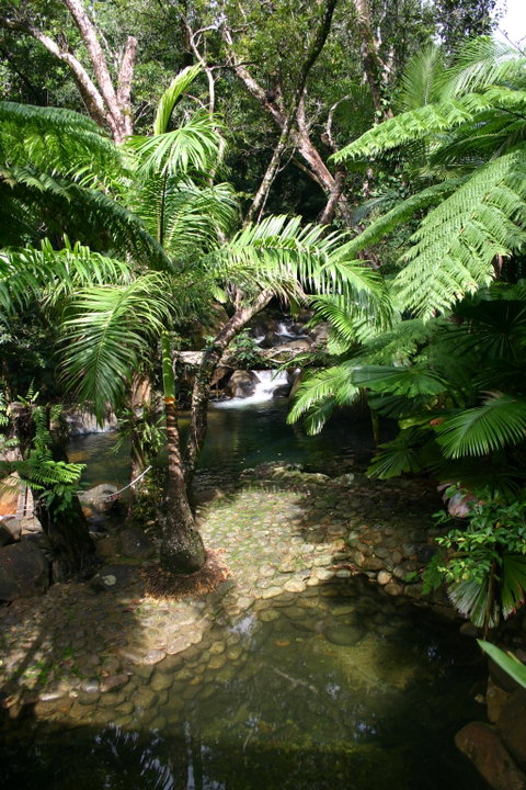 Daintree Secrets (Award Winning Retreat) - Holiday Jervis Bay 4