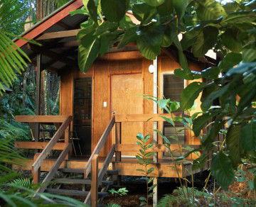 Cape Trib Beach House YHA - Holiday Jervis Bay 4
