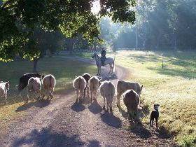 Imbil QLD Holiday Jervis Bay