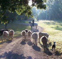 Brooloo Park - Holiday Jervis Bay