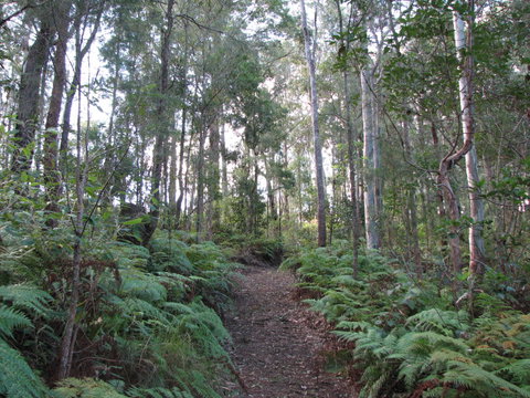 Maleny Country Cottages - Holiday Jervis Bay 1