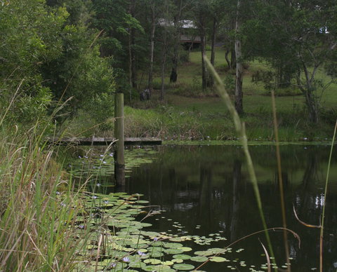 Maleny Country Cottages - Holiday Jervis Bay 4