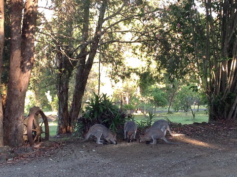 Maleny Country Cottages - Holiday Jervis Bay 5