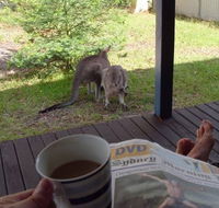 Bush and Bay Cottage - Holiday Jervis Bay