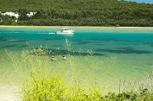 Wooli Camping and Caravan Park - Holiday Jervis Bay