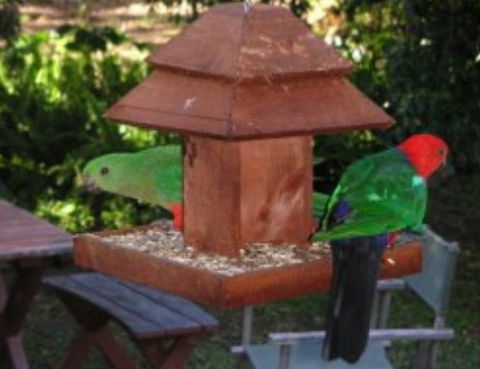 Chauvel Park B And B - Holiday Jervis Bay 2