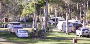 Brigadoon Holiday Park - Holiday Jervis Bay 2