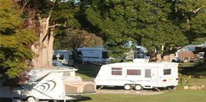 Bellinger River Tourist Park - Holiday Jervis Bay 3