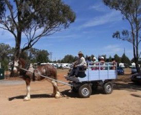 Ariah Park Camping Ground - Holiday Jervis Bay 1