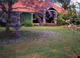 Minmore Farmstay Bed And Breakfast - Holiday Jervis Bay 0