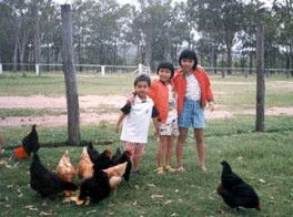 Minmore Farmstay Bed And Breakfast - Holiday Jervis Bay 1