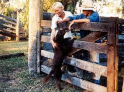 Minmore Farmstay Bed And Breakfast - Holiday Jervis Bay 2