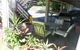 Bona Vista Motel - thumb 3