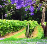 Bago Vineyards - Holiday Jervis Bay