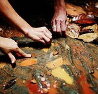 Daintree Eco Lodge And Spa - Holiday Jervis Bay