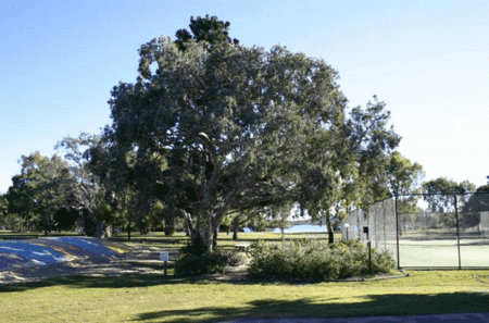 Coolwaters Holiday Village - Holiday Jervis Bay 5