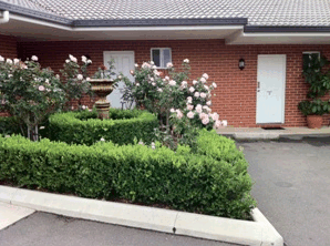 Akuna Motor Inn - Holiday Jervis Bay 4