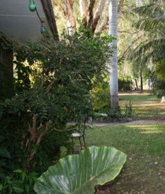 Douglas Daly Holiday Park - Holiday Jervis Bay 1
