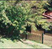 Apple Tree Cottage - Holiday Jervis Bay
