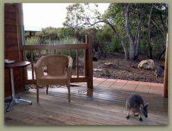 Kangaroo Island Wilderness Resort - Holiday Jervis Bay 1
